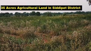 agriculture land for sale near hyderabad