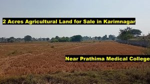 agricultural land for sale in karimnagar