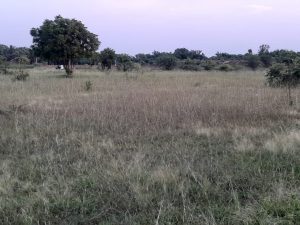 Agriculture land for sale in sadashivpet
