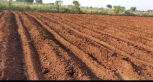 Agriculture Land for Sale in Vikarabad