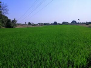 siddipet agriculture land